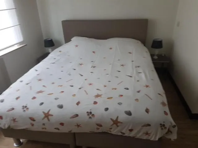 Gelijkvloers * Ostenda